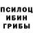 Псилоцибиновые грибы мухоморы *leaf 2016*