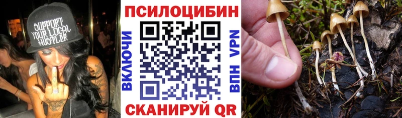 Галлюциногенные грибы ЛСД  купить  сайты  Весьегонск 
