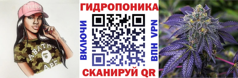 Бошки Шишки конопля  Весьегонск 